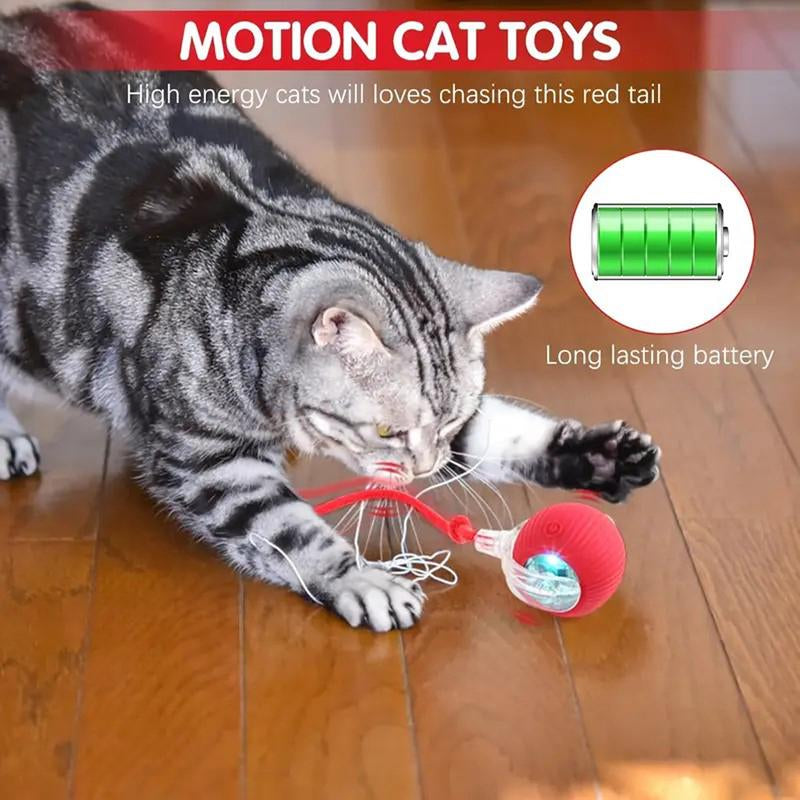 Gift for Pets, Electric Cat Ball Toy with Rope, Interactive Cat Teaser Toy, Kitten Automatic Rolling Ball Toy, Pet Supplies, Dog & Cat Accessories, Cat Toys, Pet Products, Funny Gift