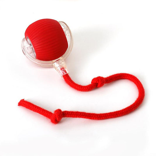 Gift for Pets, Electric Cat Ball Toy with Rope, Interactive Cat Teaser Toy, Kitten Automatic Rolling Ball Toy, Pet Supplies, Dog & Cat Accessories, Cat Toys, Pet Products, Funny Gift