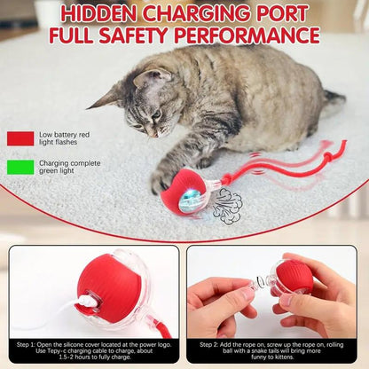 Gift for Pets, Electric Cat Ball Toy with Rope, Interactive Cat Teaser Toy, Kitten Automatic Rolling Ball Toy, Pet Supplies, Dog & Cat Accessories, Cat Toys, Pet Products, Funny Gift