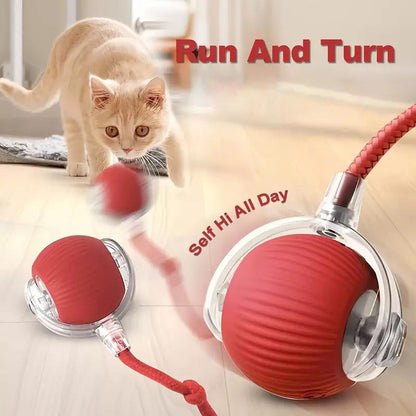Gift for Pets, Electric Cat Ball Toy with Rope, Interactive Cat Teaser Toy, Kitten Automatic Rolling Ball Toy, Pet Supplies, Dog & Cat Accessories, Cat Toys, Pet Products, Funny Gift
