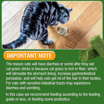 Cat Grass Stick 100G - High-Quality Cat Treats with Chicken & Egg Yolk for Gentle Hair Removal & Teeth Cleaning - Pet Food Supplies Remedy Chews