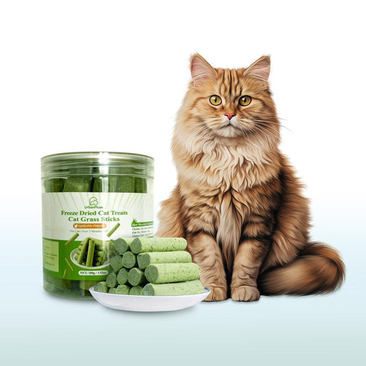 Cat Grass Stick 100G - High-Quality Cat Treats with Chicken & Egg Yolk for Gentle Hair Removal & Teeth Cleaning - Pet Food Supplies Remedy Chews