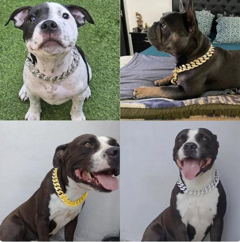 Cuban Link Chain for Pets