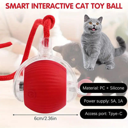 Gift for Pets, Electric Cat Ball Toy with Rope, Interactive Cat Teaser Toy, Kitten Automatic Rolling Ball Toy, Pet Supplies, Dog & Cat Accessories, Cat Toys, Pet Products, Funny Gift