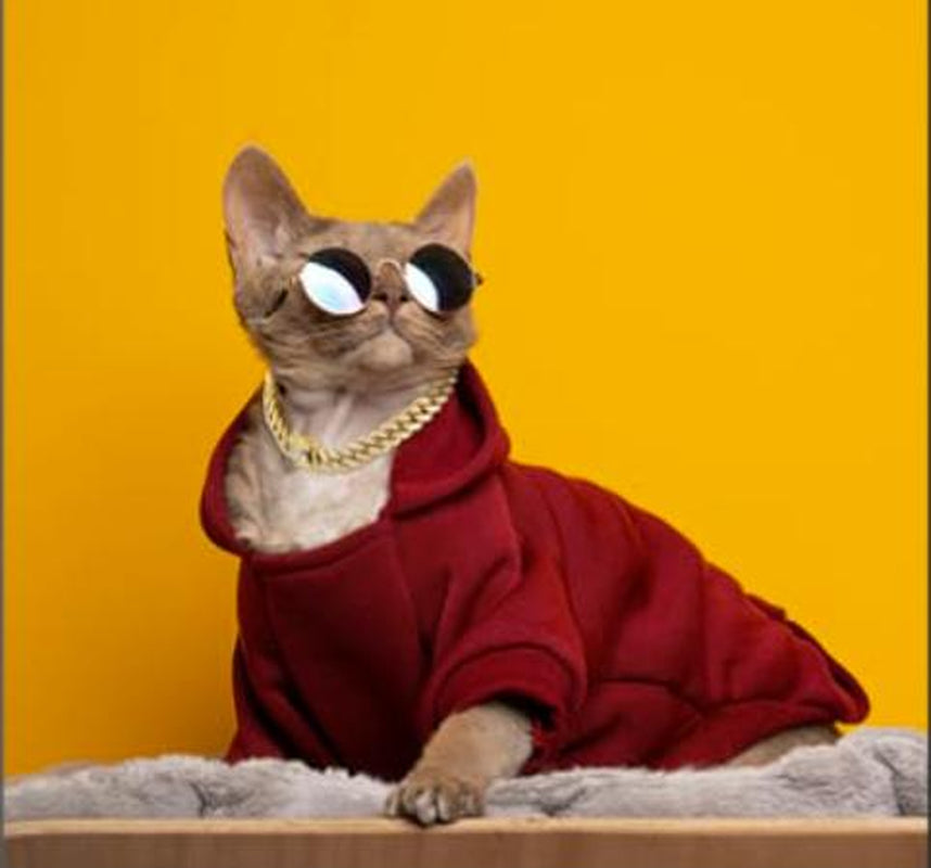 Cuban Link Chain for Pets